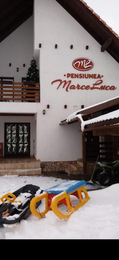 Pensiunea Marceluca Hodosa Extérieur photo